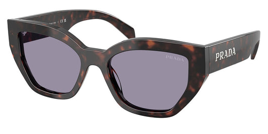 Prada: 0PR A09SF 17N03N Root Tortoise/Grey