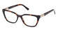 Guess: GU2941 052 Havana / Clear demo lens